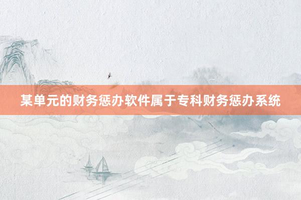 某单元的财务惩办软件属于专科财务惩办系统