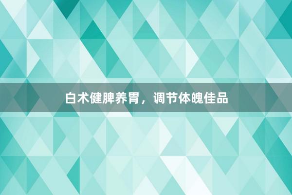 白术健脾养胃，调节体魄佳品