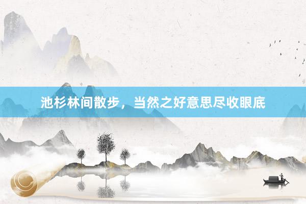 池杉林间散步，当然之好意思尽收眼底