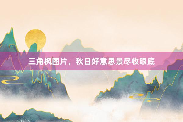 三角枫图片，秋日好意思景尽收眼底